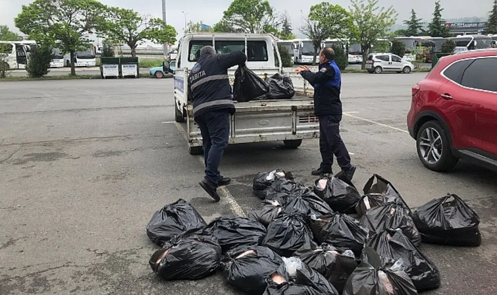İlkadım'da Kaçak 500 Kg İç Yağına El Konuldu