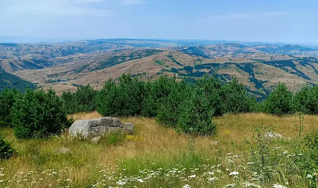 Alaçam?dan Bafra Ovası?na Çok Büyük Tehlike Kapıda!