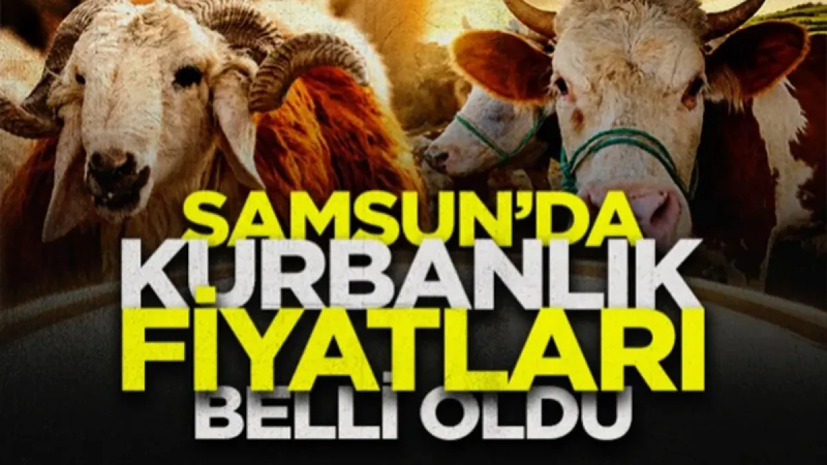 Samsun Havza Hayvan Pazarı'nda Kurbanlık Fiyatları Belli Oldu