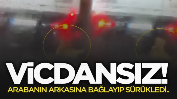 Samsun'da vicdansız sürücü Türkiye'de infial yarattı!